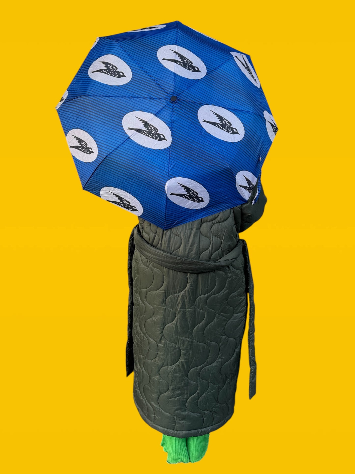 Parapluie Hirondelle